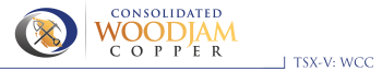 Consolidated Woodjam Copper Corp.